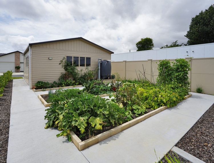 Roseland village garden