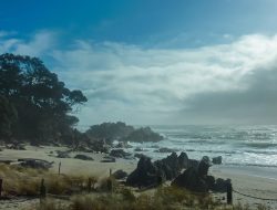 karaka-pines-papamoa-village-now-for-selling-1
