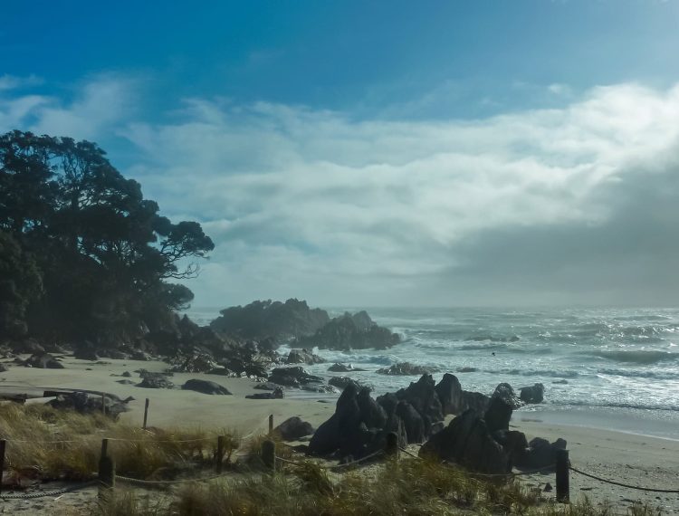 karaka-pines-papamoa-village-now-for-selling-1