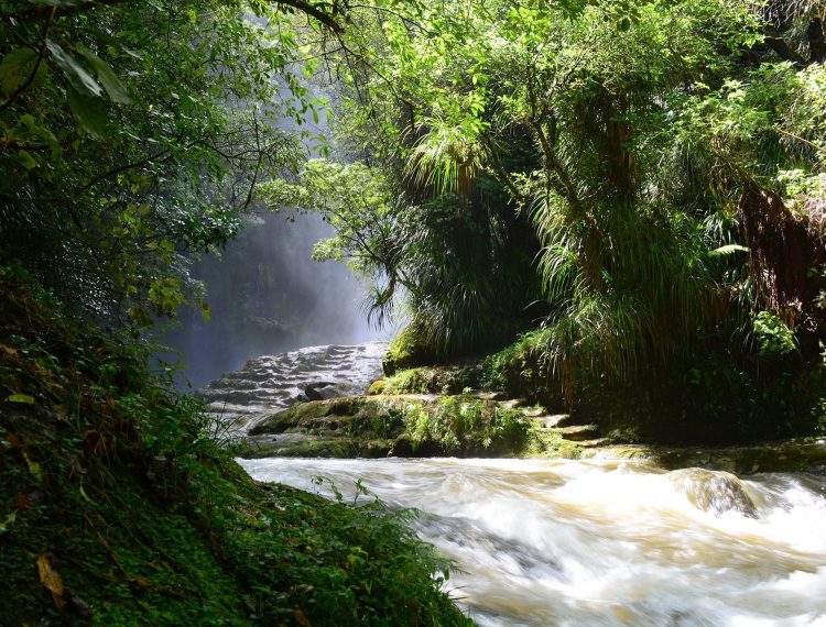 karaka-pines-papamoa-village-now-for-selling-6