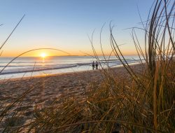 karaka-pines-papamoa-village-now-for-selling-8