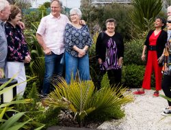 karaka-pines-village-auckland-34